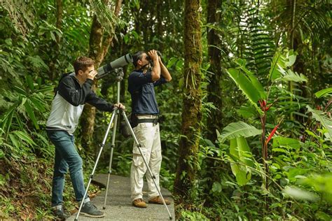 hotel with bird watching tours costa rica